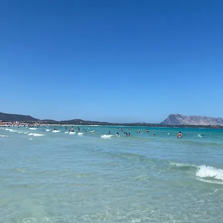 Dreamhouse לינה וארוחת בוקר אולביה