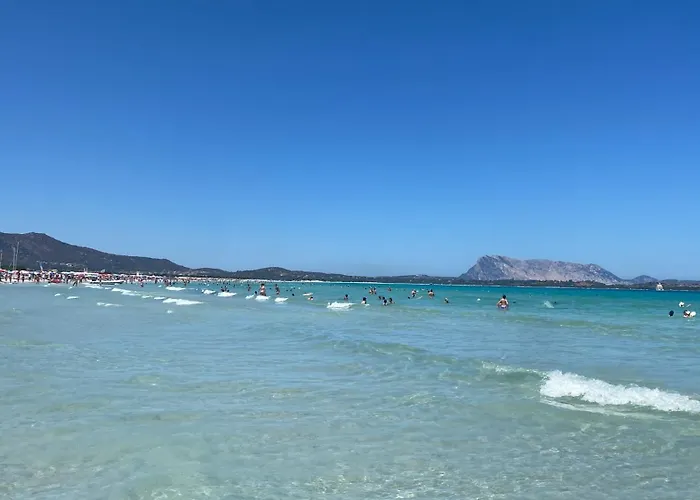 Dreamhouse לינה וארוחת בוקר אולביה